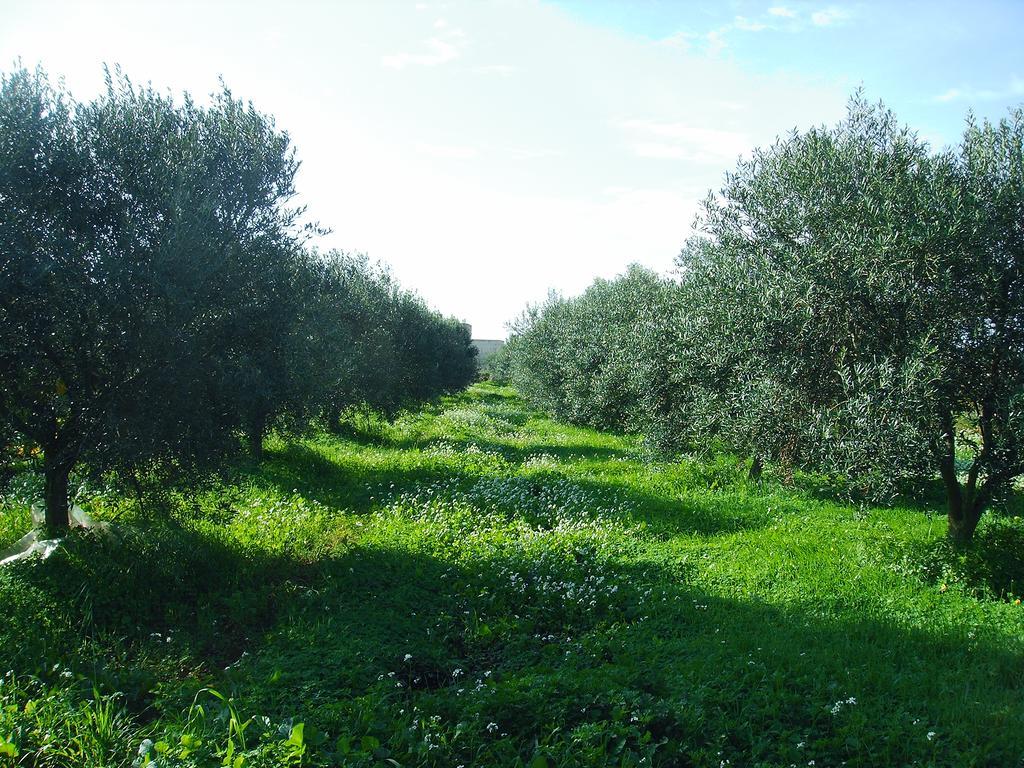 Casale Stagnone Guest House Marsala Bagian luar foto